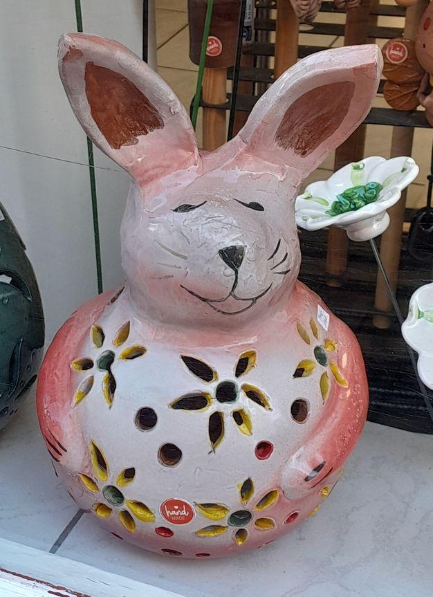 Hase rosa