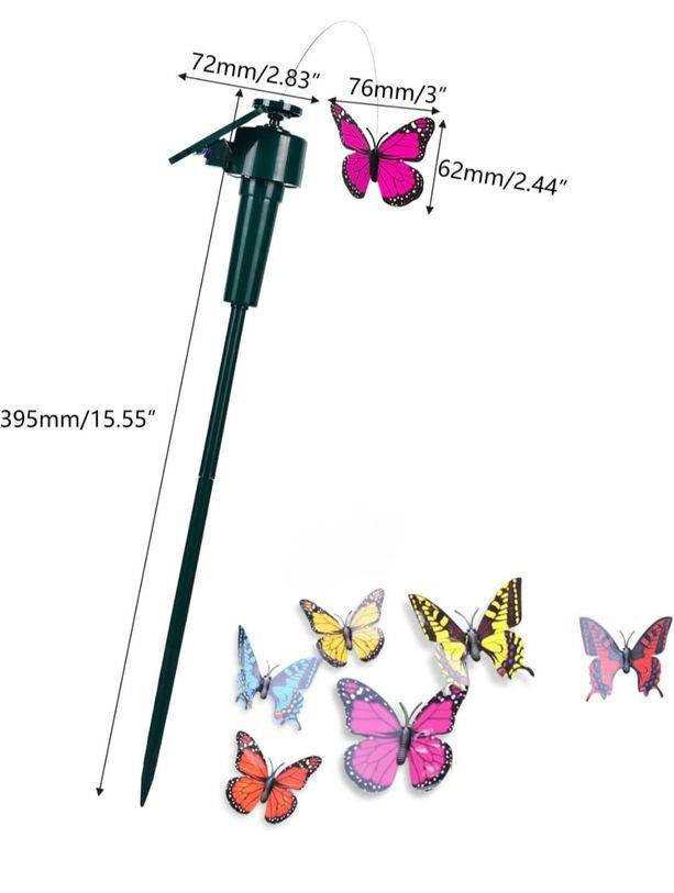 Aufbau Schmetterlinge