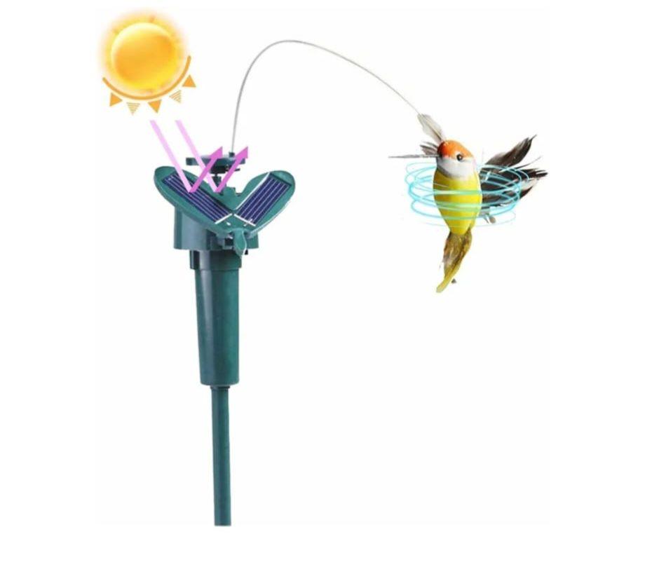 Kolibri